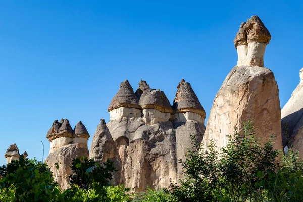 Cappadocia 'daki Cavusin köyünün yakınındaki kanyonda kumtaşının sihirli mantarımsı formları.