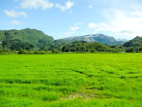Bright green meadow in Norway country side — Stock Photo, Image