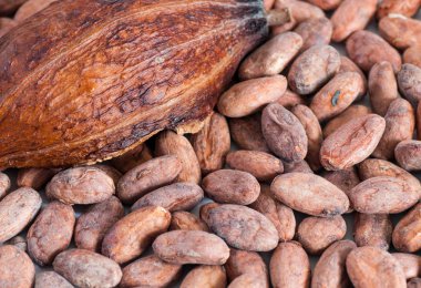 Kavrulmuş kakao çekirdekleri