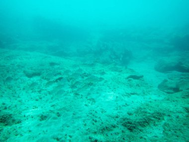 Okyanus tabanında ışık ışınları olan sığ sularda sualtı manzarası