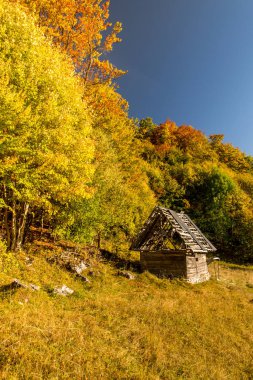 Romanya 'da sonbahar yeşillik renklerinin cennet gibi manzarası. Rucar-bran road trasylvania