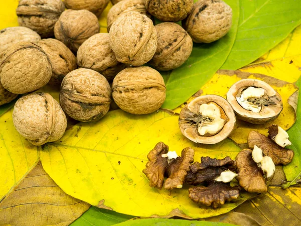 Nozes Maduras Nozes Tapete Folha Saudável Comer Conceito Outono — Fotografia de Stock