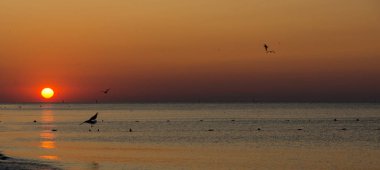 Deniz kenarında sakin bir gün doğumu manzarası