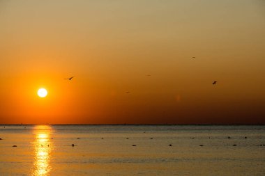 Deniz kenarında sakin bir gün doğumu manzarası