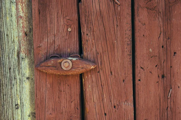 Achtergrond met oude boom — Stockfoto