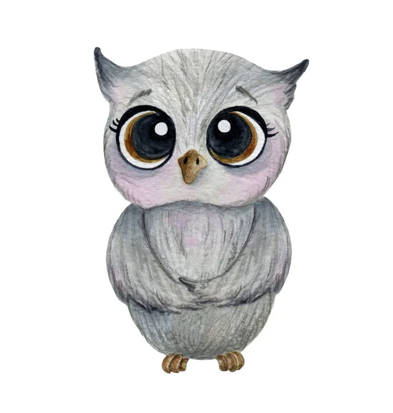可爱的灰猫头鹰，大眼睛，水彩斑斓 — 图库照片
