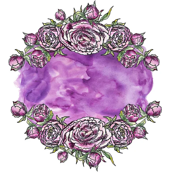 Moldura aquarela e vinheta peônias lilás com o contorno dos botões — Fotografia de Stock
