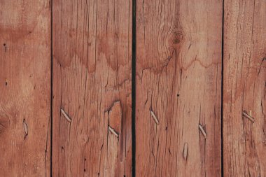 arkaplanda eski ağaç var