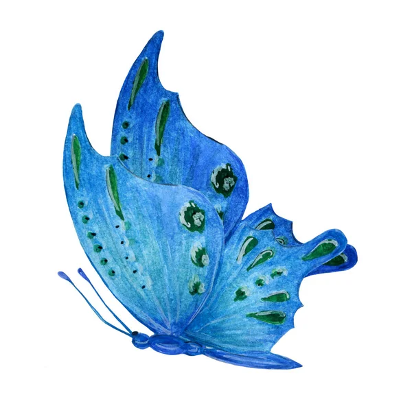 Blauwe tropische vlinder met groene vlekken aquarel — Stockfoto