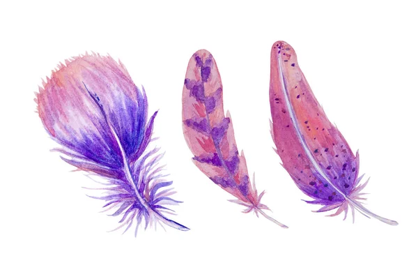 Easter watercolor set with feathers lilac — 스톡 사진