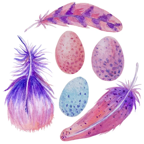 Ostern Aquarell Set mit Eiern Federn — Stockfoto