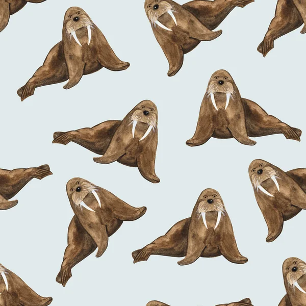 seamless pattern brown walrus watercolor