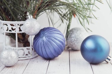 Mavi taşaklı Noel ağacı