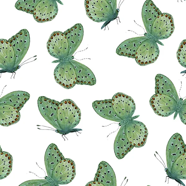 Sömlös mönster grön tropisk fjäril — Stockfoto
