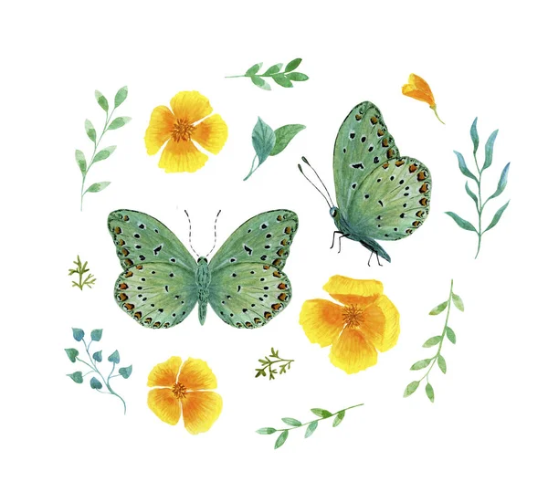 Conjunto borboleta tropical verde com manchas vermelhas aquarela — Fotografia de Stock