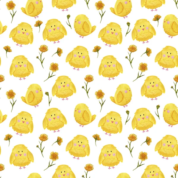 Teste padrão sem emenda, galinhas amarelas da Páscoa com buttercups — Fotografia de Stock