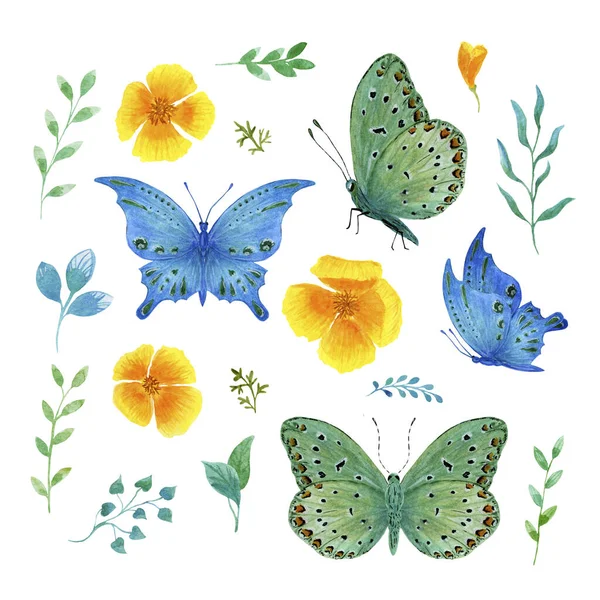 Set borboleta tropical verde e azul com aguarela — Fotografia de Stock