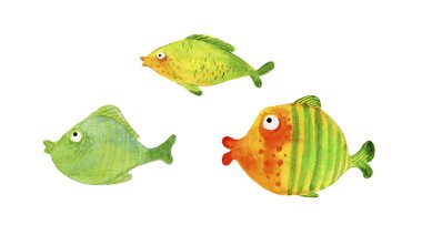 Seth parlak, yeşil akvaryum, deniz balığı. 