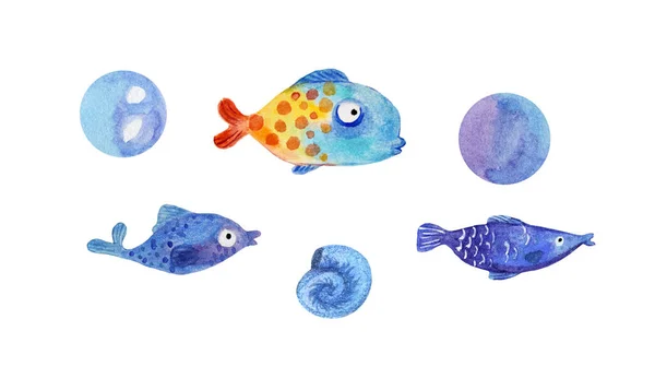 Definir Brilhante Azul Aquário Peixe Marinho Com Bolhas Ilustração Infantil — Fotografia de Stock