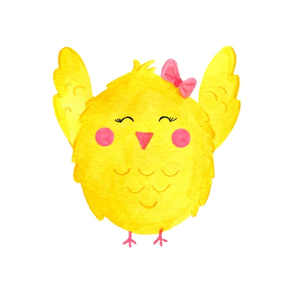 노란, 흰 닭. 새끼들 이 아쿠아를 곁들인 그림. — 스톡 사진