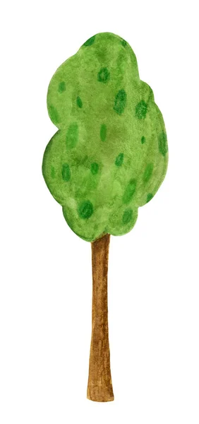 Verde, desenho animado, árvore da floresta, aquarela sobre um fundo branco . — Fotografia de Stock