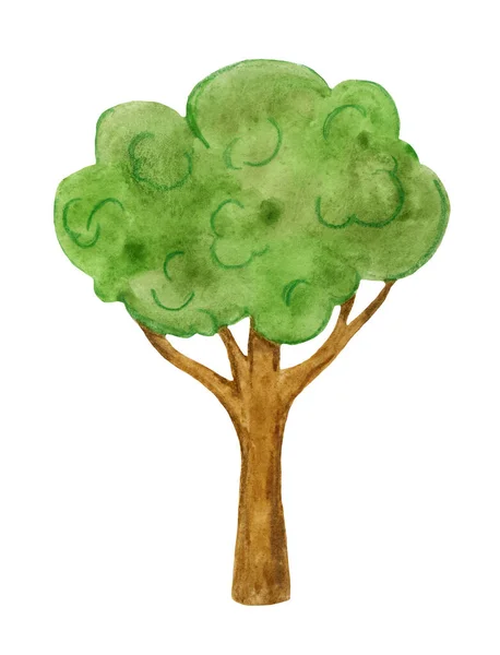 Grün, Karikatur, Waldbaum, Aquarell auf weißem Hintergrund. — Stockfoto