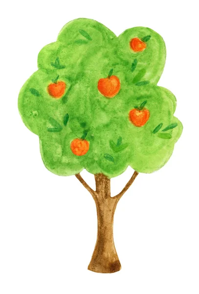 Green, cartoon tree of apple tree, in watercolor on a white background. — Stock Photo, Image