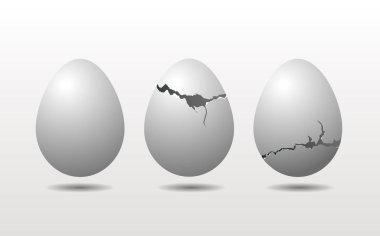 Kırık yumurta kabuğu. Beyaz arka plan üzerinde izole tavuk yumurtası.