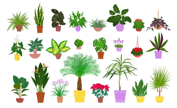 Set med olika krukväxter tropiska krukväxter. Lagervektor i platt stil — Stock vektor