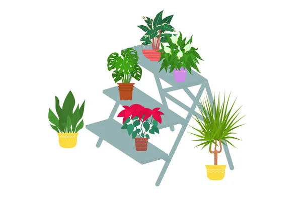 Houten ladder met kamerplanten in potten. Vector platte stijl illus — Stockvector