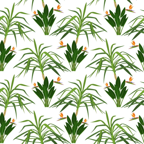 Patrón sin costura de hojas tropicales. Ilustración vectorial — Archivo Imágenes Vectoriales