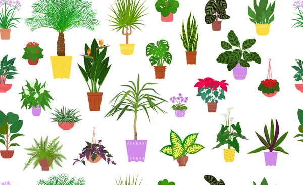 Seamless pattern from different house plants in colorful flower pots. Vector. — Stock Vector