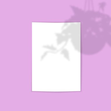 Üzerinde tropikal bitki olan bir kart şablonu asma gölge efekti süslemesi. vektör illüstrasyonu.