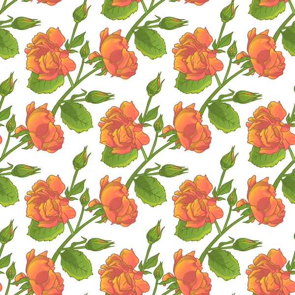 Seamless Pattern Hand Drawn Rose Flowers Vector Illustration — Stock Vector