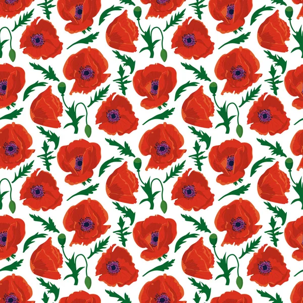 白地に手描きの赤いポピーの花とシームレスなパターン。ベクターイラスト — ストックベクタ