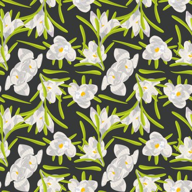 El çizimi beyaz crocus çiçekleri koyu arkaplanda dikişsiz çiçek deseni. Vektör illüstrasyonu.