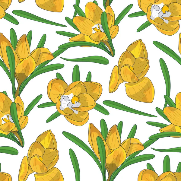 Handgezeichnete gelbe Krokusblüten mit nahtlosem Blumenmuster. Vektorillustration — Stockvektor