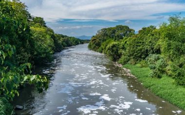 Kirlenmiş Bogota Nehri