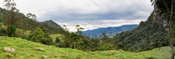 Долина Гор Колумбии Характеризуется Своими Холмами Зелеными Лугами Муниципалитете Соача — стоковое фото