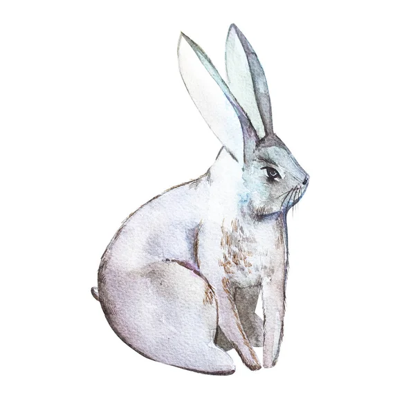 Coniglio. Isolato su sfondo bianco. Illustrazione disegnata a mano ad acquerello. Disegno di Pasqua . — Foto Stock