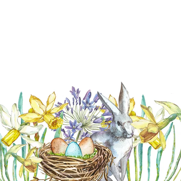 Spring flowers narcissus with nest, rabbit . Isolated on white background. Watercolor hand drawn illustration. Easter design. — Stock Photo, Image