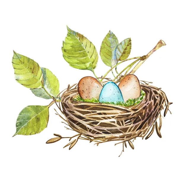 Nido de aves de arte acuarela dibujado a mano con huevos, diseño de Pascua. Ilustración aislada sobre fondo blanco . — Foto de Stock