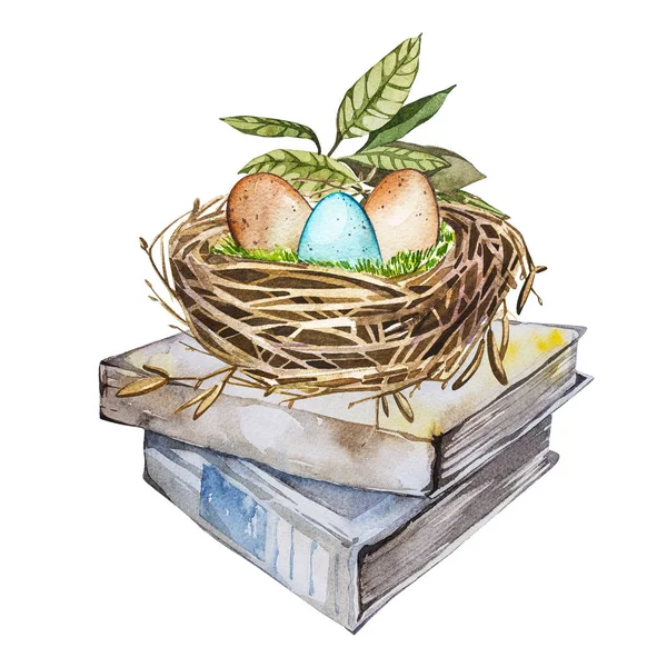 手绘水彩艺术鸟巢与鸡蛋上的书，复活节设计。白色背景上的孤立的图. — 图库照片