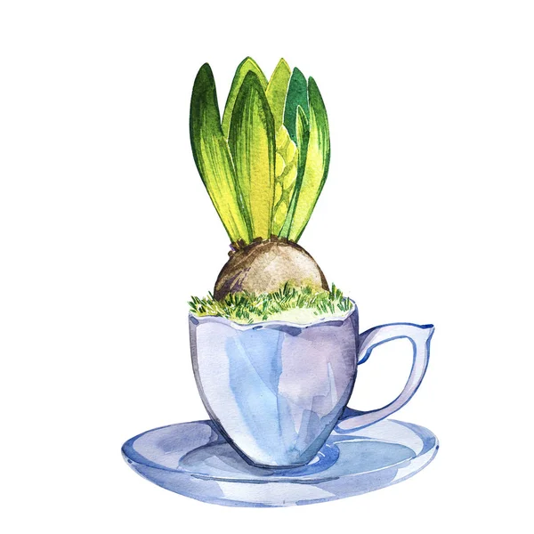 Akvarelu ručně malované hyacintům v hrnečku. Izolované ilustrace na bílém pozadí. Velikonoční design. — Stock fotografie