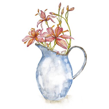 Emaye sürahi bahar çiçeklenir. Beyaz arka plan üzerinde izole. Suluboya elle çizilmiş şekil. Paskalya tasarım.