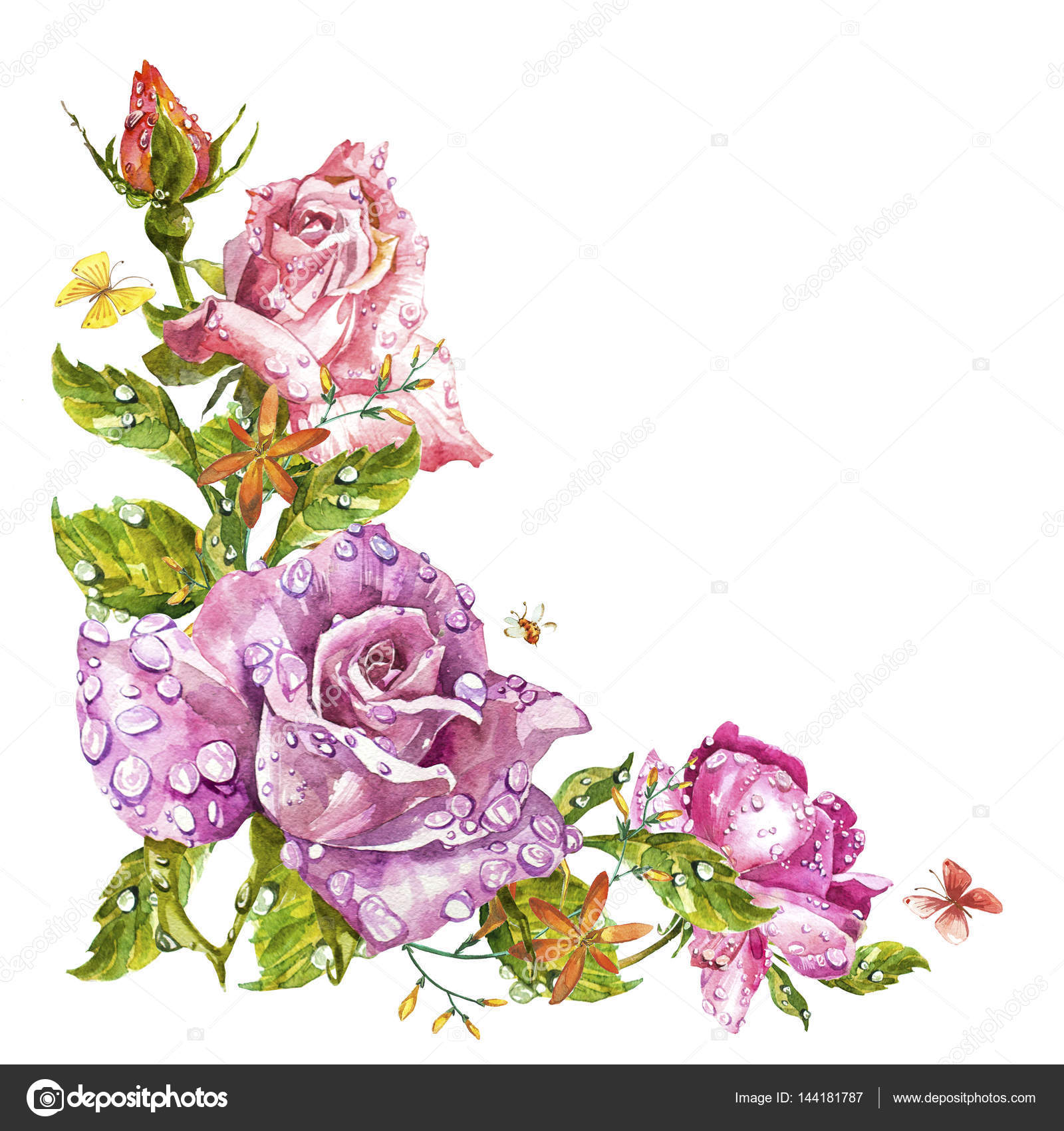 watercolor painting greeting cards rose background