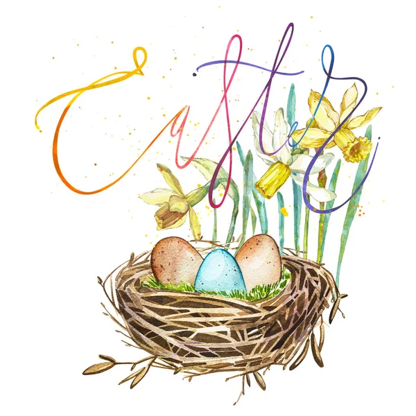 Hand getekende aquarel kunst vogel nest met eieren en Lentebloemen, woord-Pasen. Geïsoleerde illustratie op witte achtergrond. — Stockfoto