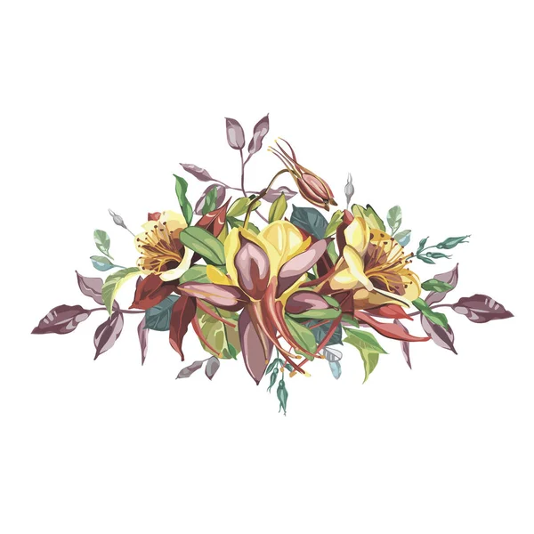 Acuarela dibujada a mano conjunto de flores ramo de Aquilegia. Hermosos elementos vectoriales realistas. Sin transparencia y sombras — Archivo Imágenes Vectoriales