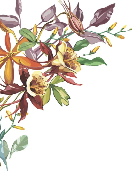分離された水彩画の夏花フレーム。植物の完全な名前: モントブレチア、オダマキ。アクワレル花は背景、テクスチャ、ラッパー パターン、フレームまたは罫線に使用できます。. — ストックベクタ