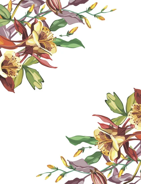 Moldura de flor de verão em um estilo aquarela isolado. Nome completo da planta: Crocosmia, Aquilegia. Flor Aquarelle poderia ser usado para fundo, textura, padrão de invólucro, quadro ou borda . —  Vetores de Stock